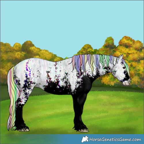 Horse Color:Painted Watercolor White Spotted Silver Black Ice