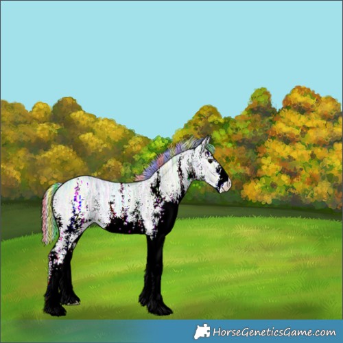 Horse Color:Painted Watercolor White Spotted Silver Black Ice 