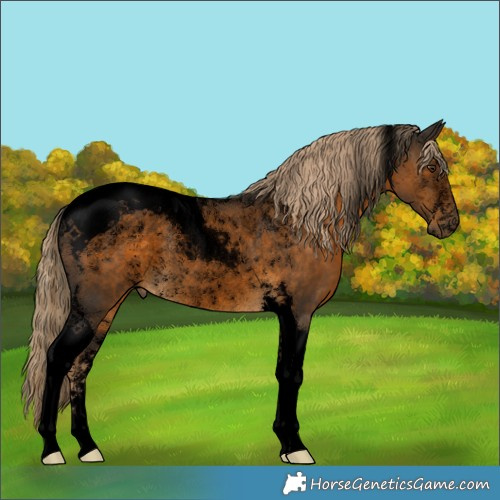 Horse Color:Powder White Void Chocolate Palomino Tobiano Rabicano 