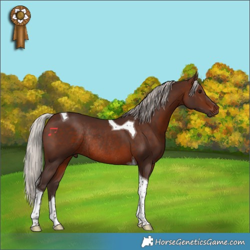Horse Color:Silver Brown Tobiano Rabicano