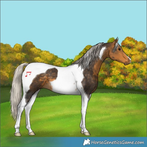 Horse Color:Silver Buckskin Tobiano