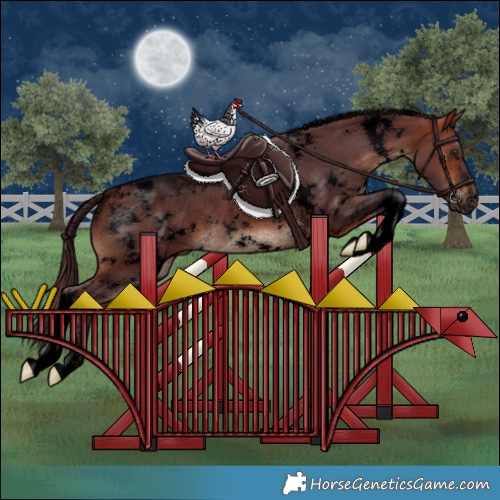Horse Color:Void White Spotted Chocolate Bay Tobiano Rabicano 