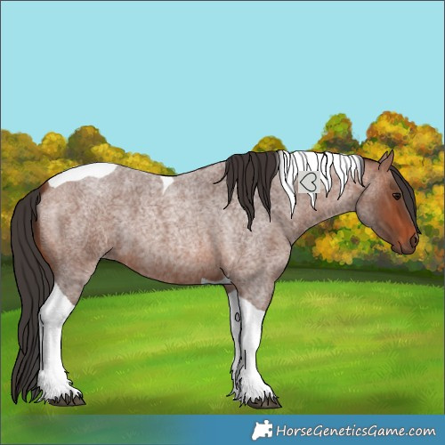 Horse Color:Bay Roan Tobiano 