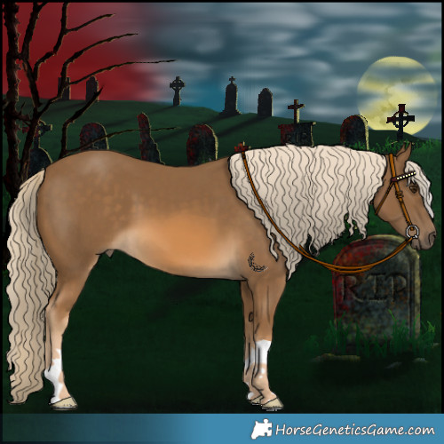 Horse Color:Chocolate Palomino 