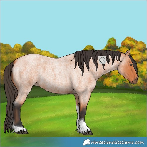 Horse Color:Bay Roan Tobiano 