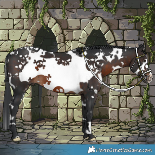 Horse Color:White Spotted Brown Frame 