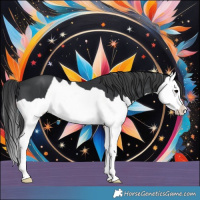 Horse Color:Black Splash