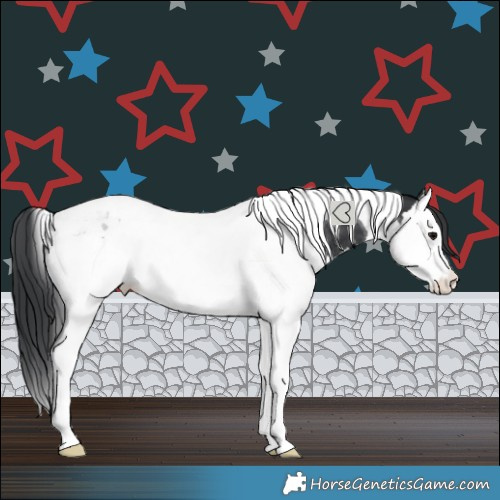 Horse Color:Black Splash Tobiano Rabicano 