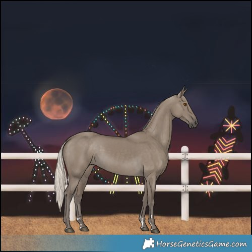 Horse Color:Silver Smoky Grullo Rabicano 