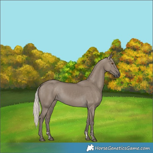 Horse Color:Silver Smoky Grullo Rabicano 