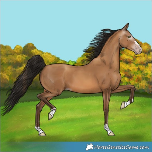 Horse Color:Gray Amber Champagne 