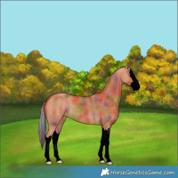 Horse Color:Void Nacre Silver Bay Splash 