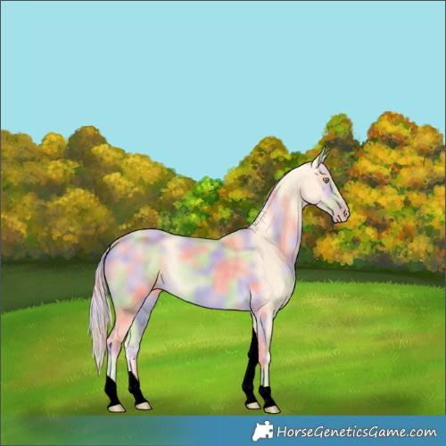 Horse Color:Void Nacre Gold Cream Champagne Tobiano