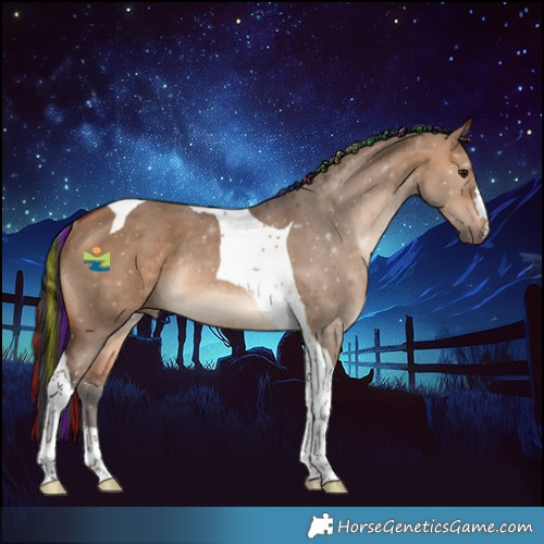 Horse Color:Painted Bay Dun Tobiano Rabicano