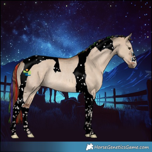 Horse Color:Painted Red Dun Tobiano Rabicano 