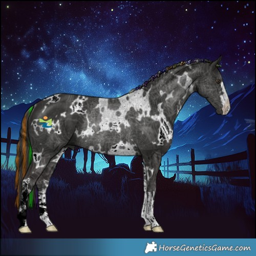 Horse Color:Painted White Spotted Liver Chestnut Rabicano