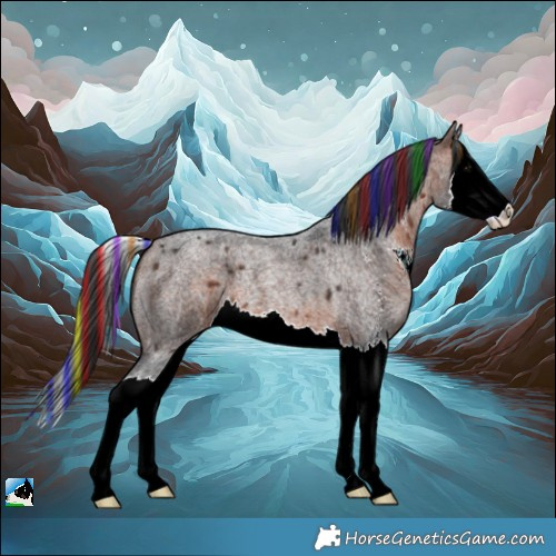 Horse Color:Painted Bay Roan Sabino Splash 