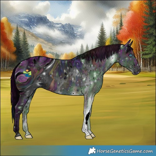 Horse Color:ERROR: UNKNOWN ANOMALY
