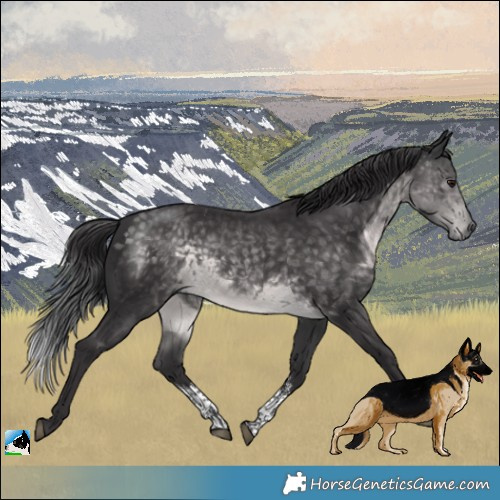 Horse Color:Platinum Buckskin Sabino Rabicano