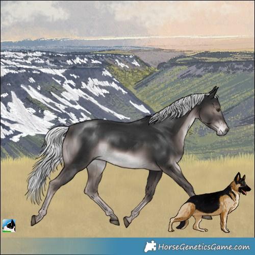 Horse Color:Platinum Liver Chestnut Mushroom Rabicano 