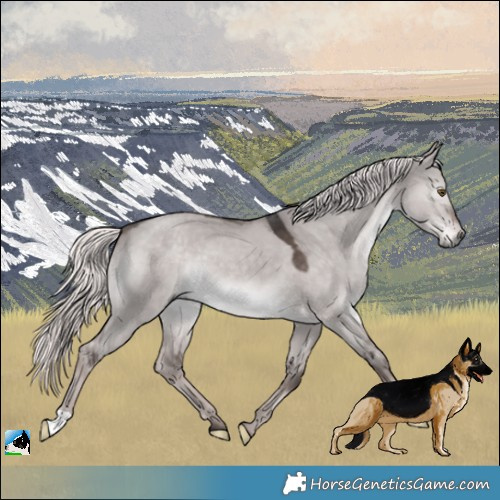 Horse Color:Platinum Liver Red Dun Mushroom 