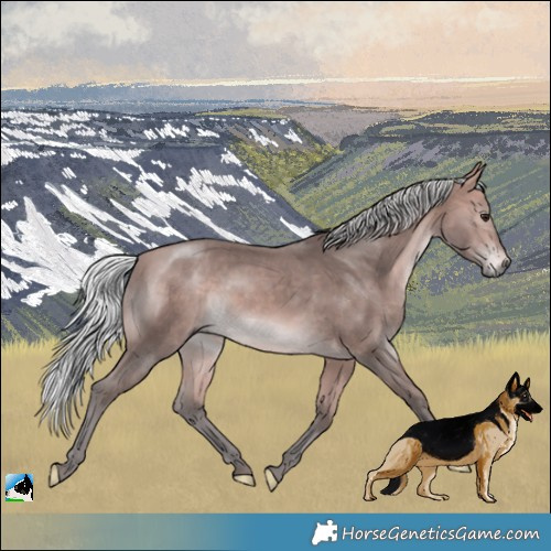 Horse Color:Platinum Silver Bay 