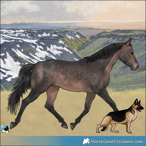Horse Color:Platinum Bay 