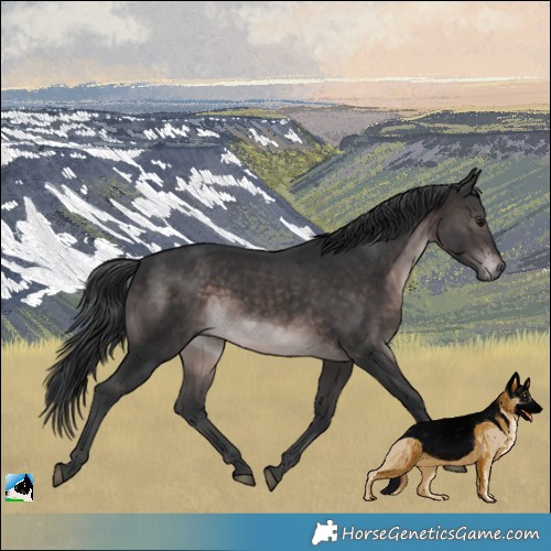 Horse Color:Platinum Brown Mushroom Rabicano 