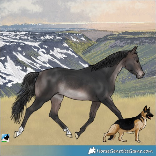 Horse Color:Platinum Brown Rabicano 