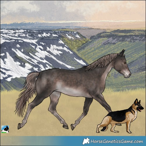 Horse Color:Platinum Liver Chestnut Rabicano 
