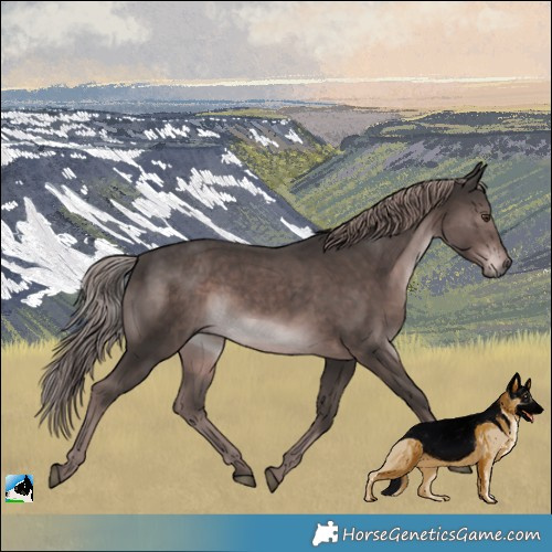 Horse Color:Platinum Liver Chestnut 