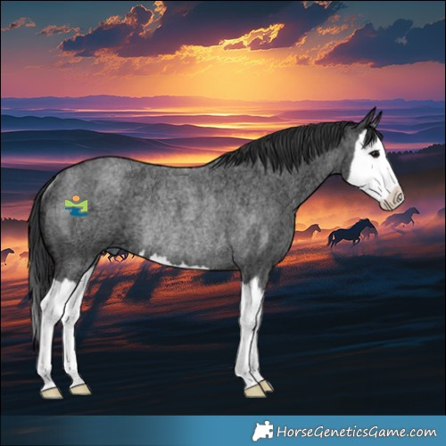 Horse Color:Blue Ice Roan Splash Rabicano