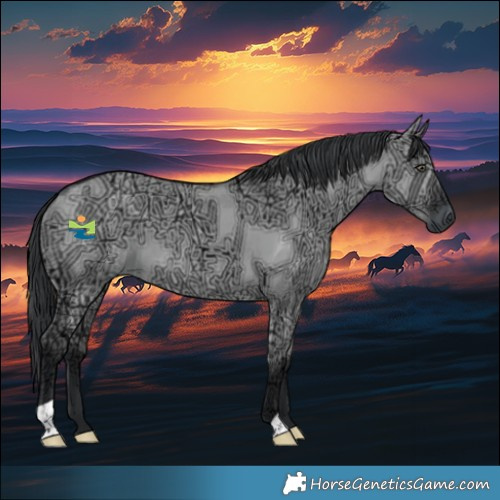 Horse Color:Grullo Chinchilla Ice 