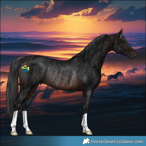 Horse Color:Brown Ice Rabicano 