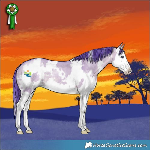 Horse Color:Watercolor White Spotted Brown Chinchilla Dun Splash 