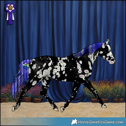 Horse Color:Painted Plaid Silver Bay Chinchilla Ice Tobiano Near Leopard