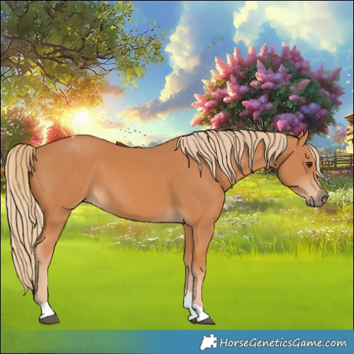 Horse Color:Chestnut Tobiano Rabicano 