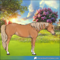 Horse Color:Chestnut Tobiano Rabicano 