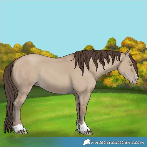 Horse Color:Classic Champagne Dun 