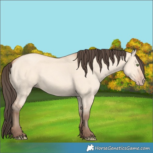 Horse Color:Amber Champagne Dun 