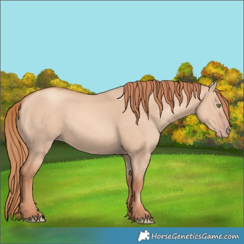 Horse Color:Gold Champagne Dun 
