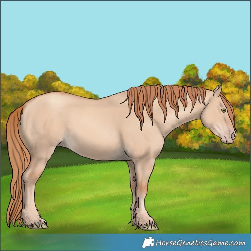 Horse Color:Gold Champagne Dun 
