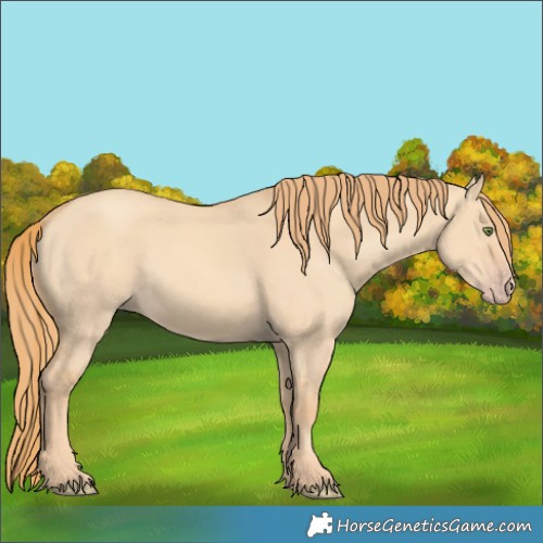 Horse Color:Gold Champagne Dun 
