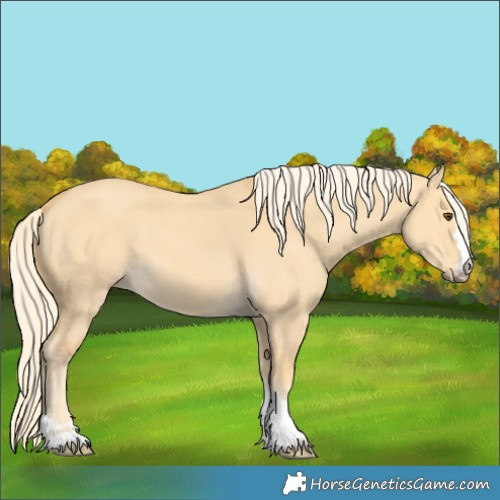 Horse Color:Palomino Dun 