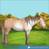 Horse Color:Gray Perlino Frame 