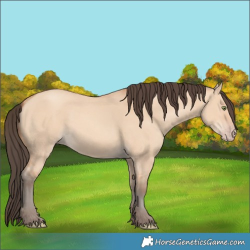 Horse Color:Amber Champagne Dun 