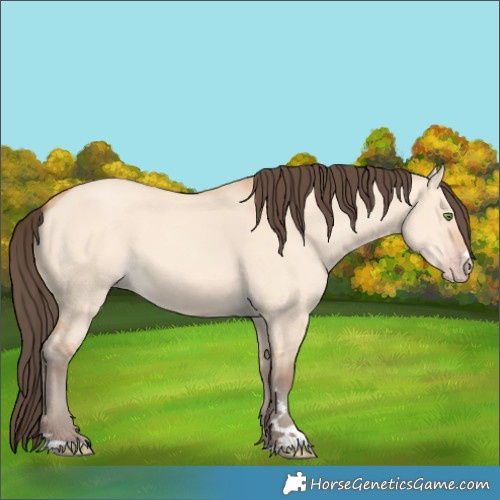 Horse Color:Amber Champagne Dun 