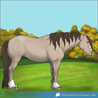 Horse Color:Classic Champagne Dun 