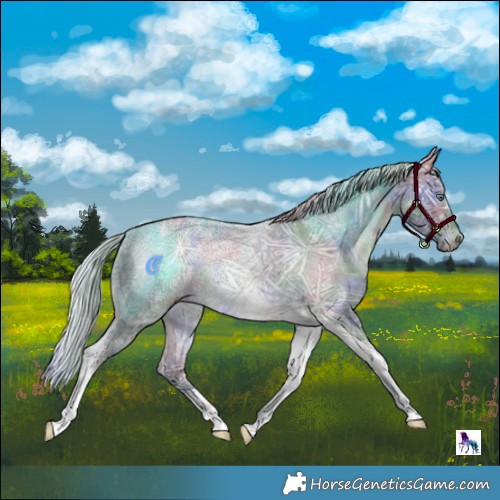 Horse Color:Nacre Silver Brown Chinchilla Ice Tobiano 
