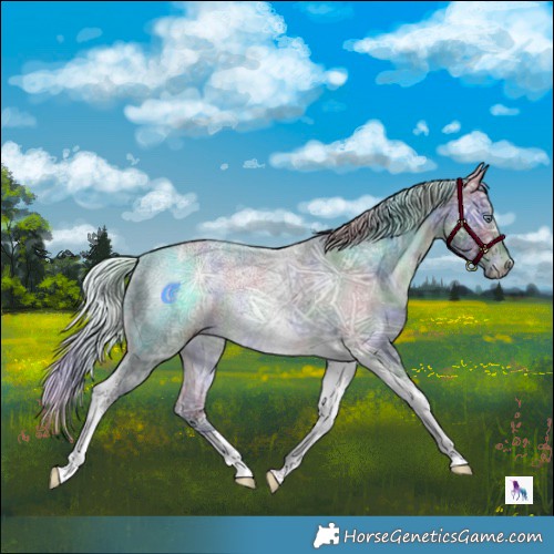 Horse Color:Nacre Silver Brown Chinchilla Ice Tobiano 